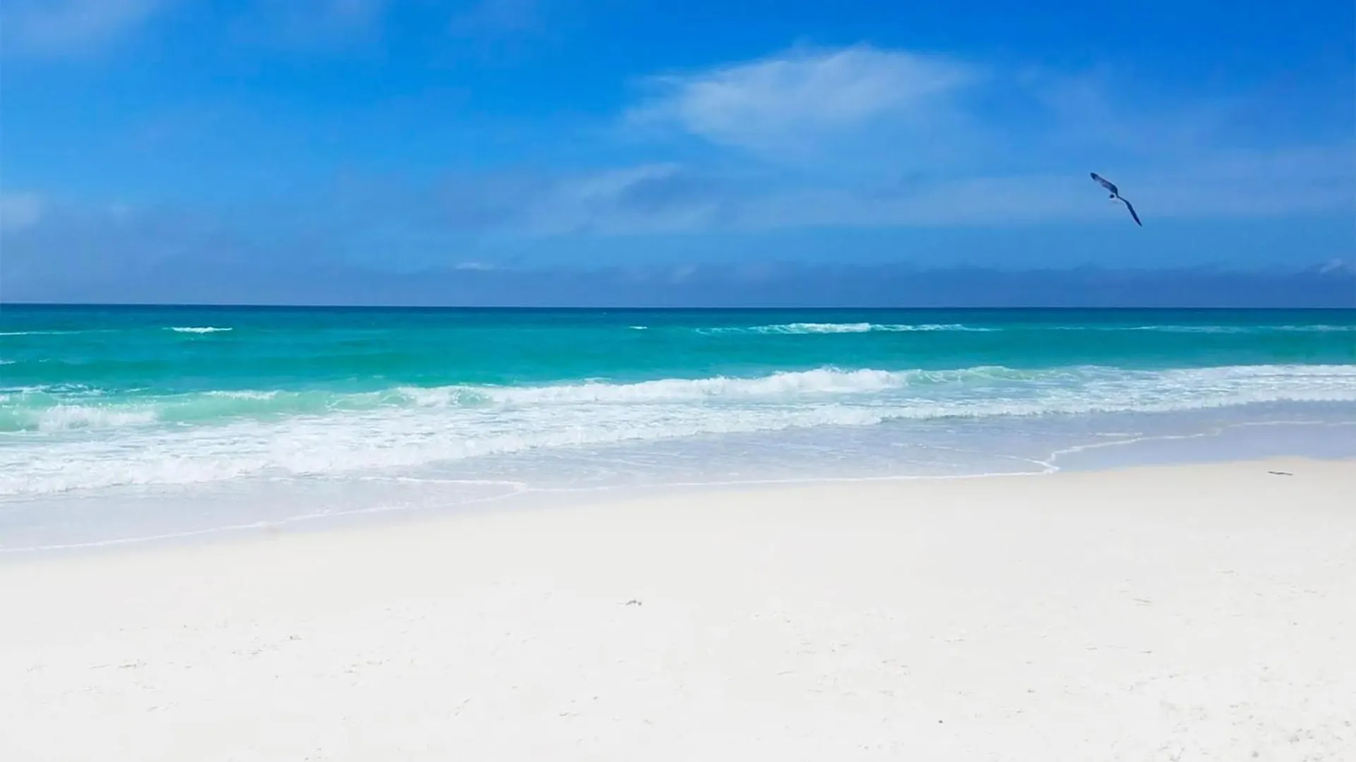 Semesterbostad Seaside Serenity Panama City Beach